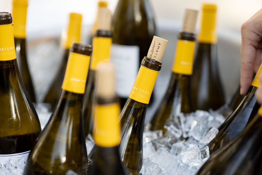 Amaterra bottles in ice